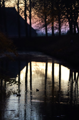 Poptaslot ,een eeuwenoude state ,is volledig omring door een slotgracht.
Hierin bevinden zich steevast meerkoeten en waterhoentjes.