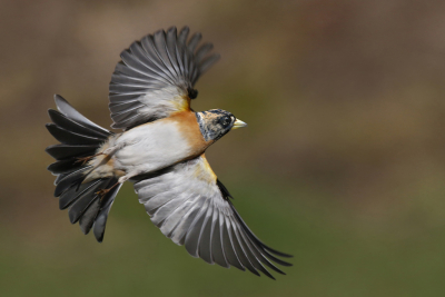 <i class='fa fa-user'></i> Gejo Wassink |   Keep  <i class='fa fa-eye'> 355</i>  <i class='fa fa-thumbs-up'> 3</i>   <i class='fa fa-comment-o'> 12</i>