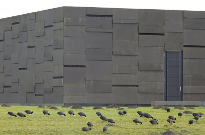 <i class='fa fa-user'></i> sieb |   Meerkoet  <i class='fa fa-eye'> 351</i>  <i class='fa fa-thumbs-up'> 10</i>   <i class='fa fa-comment-o'> 15</i>