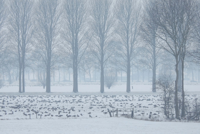 <i class='fa fa-user'></i> sieb |   Kolgans  <i class='fa fa-eye'> 282</i>  <i class='fa fa-thumbs-up'> 7</i>   <i class='fa fa-comment-o'> 16</i>