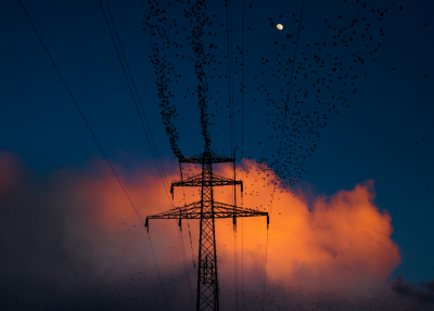 <i class='fa fa-user'></i> Leon Walraven |   Spreeuw  <i class='fa fa-eye'> 335</i>  <i class='fa fa-thumbs-up'> 10</i>   <i class='fa fa-comment-o'> 6</i>