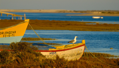 Recht zo die gaat.
In de lagunes van de zand Algarve ( oostelijk van Faro ) liggen heel wat meer of minder vergane boten en ook heel wat met een onduidelijke functie.
Behalve dan voor de meeuwen, die maken er veelvuldig gebruik van.