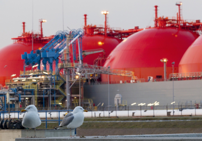 Voorlopig even de laatste meeuwenfoto met haven thema, nu met de rode bollen van een LNG (liquid Natural Gas) tanker op de achtergrond.