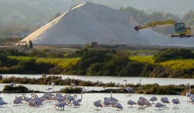 Als je wat uitzoomt bij de flamingo's bij Fuzeta wordt meteen duidelijk waarom de zoutpannnen zoutpannen heten. Het is overigens niet zo dat die bulten overal zo nadrukkelijk aanwezig zijn.