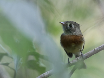 <i class='fa fa-user'></i> Paul van Giersbergen |   Gordeltiran  <i class='fa fa-eye'> 156</i>  <i class='fa fa-thumbs-up'> 5</i>   <i class='fa fa-comment-o'> 5</i>