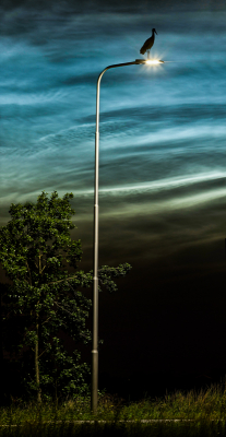 <i class='fa fa-user'></i> Henri Aantjes |   Ooievaar  <i class='fa fa-eye'> 419</i>  <i class='fa fa-thumbs-up'> 23</i>   <i class='fa fa-comment-o'> 17</i>