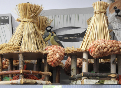 <i class='fa fa-user'></i> sieb |   Koolmees  <i class='fa fa-eye'> 264</i>  <i class='fa fa-thumbs-up'> 4</i>   <i class='fa fa-comment-o'> 11</i>