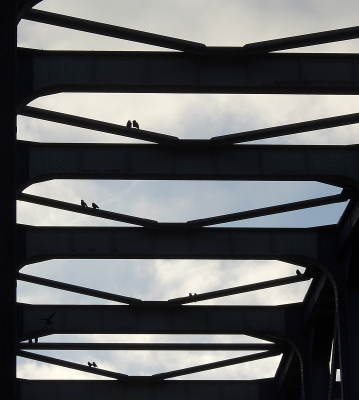 <i class='fa fa-user'></i> sieb |   Kauw  <i class='fa fa-eye'> 350</i>  <i class='fa fa-thumbs-up'> 10</i>   <i class='fa fa-comment-o'> 12</i>