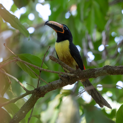 <i class='fa fa-user'></i> charlysax |   Letterarassari  <i class='fa fa-eye'> 118</i>  <i class='fa fa-thumbs-up'> 1</i>   <i class='fa fa-comment-o'> 3</i>