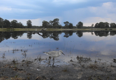 <i class='fa fa-user'></i> sieb |   Kanoet  <i class='fa fa-eye'> 355</i>  <i class='fa fa-thumbs-up'> 12</i>   <i class='fa fa-comment-o'> 18</i>