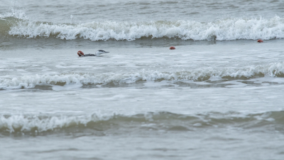 Vorige week liep ik op het strand en zag deze roodkeelduiker verstrikt in een vissersnet. Ik heb een jeep aangehouden en de meneer die daar inzat vertelde dat met eb de visser zou komen. Hopelijk op tijd.... Even voor die tijd fotografeerde ik een vissersboot, de UK165...daar is het verkeert mee afgelopen, vreselijk.