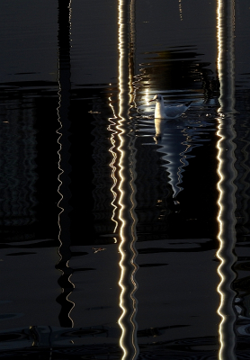 <i class='fa fa-user'></i> sieb |   Kokmeeuw  <i class='fa fa-eye'> 427</i>  <i class='fa fa-thumbs-up'> 32</i>   <i class='fa fa-comment-o'> 17</i>