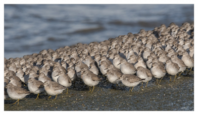 <i class='fa fa-user'></i> rbos |   Kanoet  <i class='fa fa-eye'> 338</i>  <i class='fa fa-thumbs-up'> 13</i>   <i class='fa fa-comment-o'> 10</i>