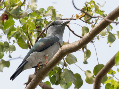 <i class='fa fa-user'></i> Paul van Giersbergen |   Koerol  <i class='fa fa-eye'> 157</i>   <i class='fa fa-comment-o'> 1</i>