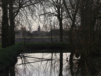 Qua vogelfotografie een winterslaapje gehouden;even de geest niet..
Mondjesmaat weer begonnen.
Onderweg naar mijn werk kom ik langs een statige boerderij met gracht rondom het erf.
Vaste bewoners zijn hier de meerkoeten ,waterhoentjes en een handjevol wilde eenden.