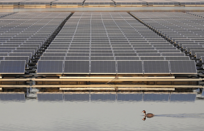 <i class='fa fa-user'></i> sieb |   Fuut  <i class='fa fa-eye'> 439</i>  <i class='fa fa-thumbs-up'> 14</i>   <i class='fa fa-comment-o'> 13</i>