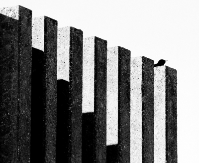 <i class='fa fa-user'></i> Fons Hoiting |   Merel  <i class='fa fa-eye'> 303</i>  <i class='fa fa-thumbs-up'> 9</i>   <i class='fa fa-comment-o'> 9</i>