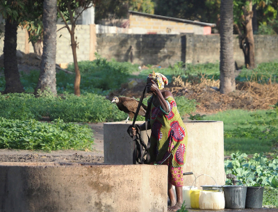 <i class='fa fa-user'></i> guido mwm |   Kapgier  <i class='fa fa-eye'> 405</i>  <i class='fa fa-thumbs-up'> 10</i>   <i class='fa fa-comment-o'> 25</i>