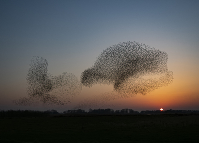 <i class='fa fa-user'></i> Fred |   Spreeuw  <i class='fa fa-eye'> 453</i>  <i class='fa fa-thumbs-up'> 34</i>   <i class='fa fa-comment-o'> 15</i>