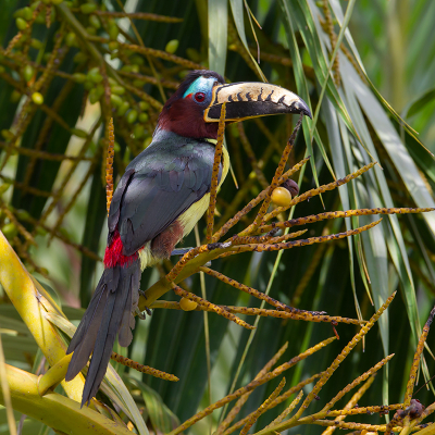 <i class='fa fa-user'></i> charlysax |   Letterarassari  <i class='fa fa-eye'> 186</i>  <i class='fa fa-thumbs-up'> 7</i>   <i class='fa fa-comment-o'> 3</i>