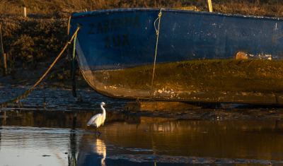 De zoutpannen worden omgeven door de lagune en door het wisselende tij is er altijd wel weer wat anders te beleven.