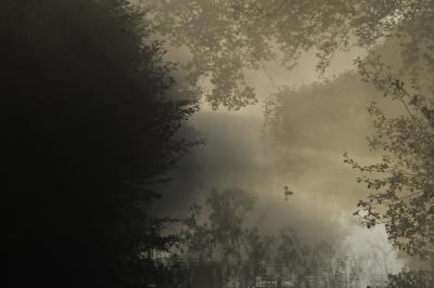 <i class='fa fa-user'></i> Peter Stam |   Fuut  <i class='fa fa-eye'> 374</i>  <i class='fa fa-thumbs-up'> 27</i>   <i class='fa fa-comment-o'> 26</i>