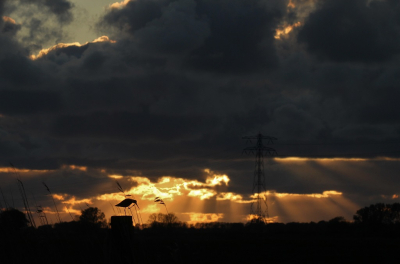 <i class='fa fa-user'></i> Fons Hoiting |   Grutto  <i class='fa fa-eye'> 278</i>  <i class='fa fa-thumbs-up'> 23</i>   <i class='fa fa-comment-o'> 12</i>