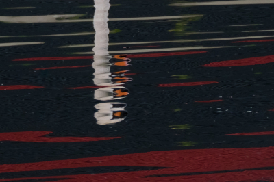 <i class='fa fa-user'></i> Gert-Jan Cromwijk |   Knobbelzwaan  <i class='fa fa-eye'> 241</i>  <i class='fa fa-thumbs-up'> 9</i>   <i class='fa fa-comment-o'> 17</i>