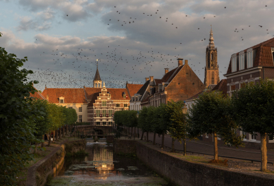 <i class='fa fa-user'></i> Reinier van den Born |   Kauw  <i class='fa fa-eye'> 333</i>  <i class='fa fa-thumbs-up'> 21</i>   <i class='fa fa-comment-o'> 13</i>