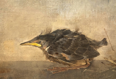 <i class='fa fa-user'></i> Gerard Visser | Spreeuw  <i class='fa fa-eye'> 219</i>  <i class='fa fa-thumbs-up'> 3</i>   <i class='fa fa-comment-o'> 19</i>