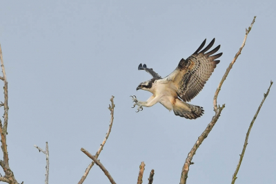 <i class='fa fa-user'></i> Harry Jamont |   Visarend  <i class='fa fa-eye'> 377</i>  <i class='fa fa-thumbs-up'> 11</i>   <i class='fa fa-comment-o'> 7</i>