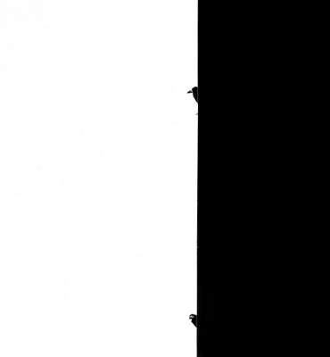 <i class='fa fa-user'></i> Fons Hoiting |   Roek  <i class='fa fa-eye'> 283</i>  <i class='fa fa-thumbs-up'> 18</i>   <i class='fa fa-comment-o'> 16</i>