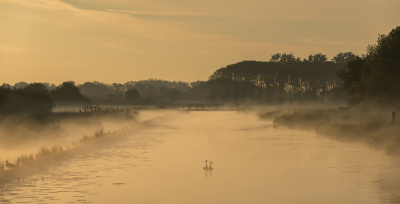 <i class='fa fa-user'></i> LeerdammerKees |   Fuut  <i class='fa fa-eye'> 256</i>  <i class='fa fa-thumbs-up'> 23</i>   <i class='fa fa-comment-o'> 17</i>