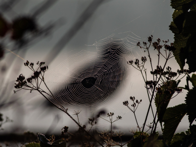 <i class='fa fa-user'></i> Richard Oud |   Kokmeeuw  <i class='fa fa-eye'> 343</i>  <i class='fa fa-thumbs-up'> 17</i>   <i class='fa fa-comment-o'> 18</i>