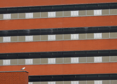 <i class='fa fa-user'></i> sieb |   Kokmeeuw  <i class='fa fa-eye'> 288</i>  <i class='fa fa-thumbs-up'> 15</i>   <i class='fa fa-comment-o'> 19</i>