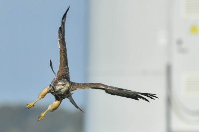 <i class='fa fa-user'></i> Harry Jamont |   Buizerd  <i class='fa fa-eye'> 275</i>  <i class='fa fa-thumbs-up'> 1</i>   <i class='fa fa-comment-o'> 4</i>