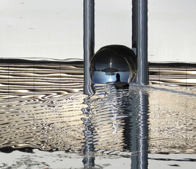 <i class='fa fa-user'></i> sieb |   Meerkoet  <i class='fa fa-eye'> 592</i>  <i class='fa fa-thumbs-up'> 50</i>   <i class='fa fa-comment-o'> 39</i>