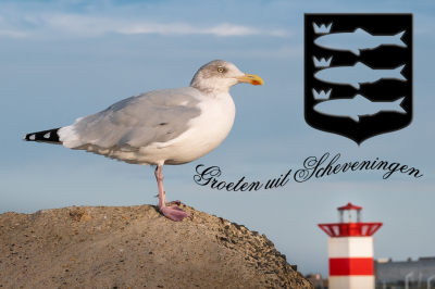 Poginkje om Vincents foto op te leuken
Uiteraard omdat Gerard de opmerking maakte dat het pas een echt souvenirtje zou zijn wanneer er een bordje met Scheveningen onder hangt.
Nou, het bordje krijg je niet, maar wel iets veel mooiers: het logo van Vreugdevuur Scheveningen. Want het vreugdevuur moet blijven! Zijn ze nou helemaal gek, om onze trots van ons af te nemen?