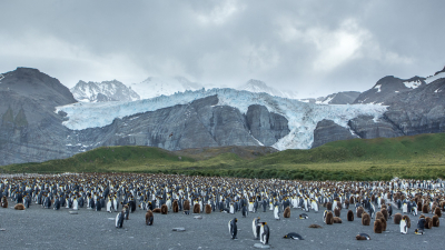 <i class='fa fa-user'></i> Arjen Drost |   Koningspingun  <i class='fa fa-eye'> 291</i>  <i class='fa fa-thumbs-up'> 10</i>   <i class='fa fa-comment-o'> 13</i>