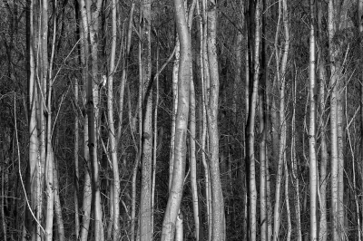 <i class='fa fa-user'></i> Gert-Jan Cromwijk |   Buizerd  <i class='fa fa-eye'> 358</i>  <i class='fa fa-thumbs-up'> 4</i>   <i class='fa fa-comment-o'> 14</i>