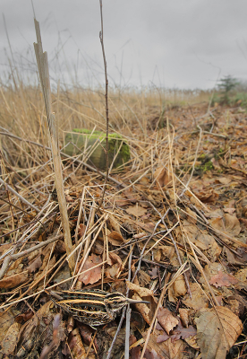 <i class='fa fa-user'></i> thijsglastra |   Bokje  <i class='fa fa-eye'> 573</i>  <i class='fa fa-thumbs-up'> 12</i>   <i class='fa fa-comment-o'> 16</i>