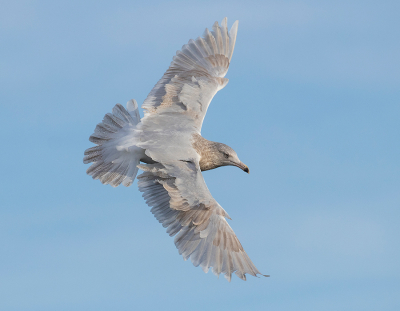 <i class='fa fa-user'></i> Celly |   Grote Burgemeester  <i class='fa fa-eye'> 220</i>  <i class='fa fa-thumbs-up'> 9</i>   <i class='fa fa-comment-o'> 5</i>