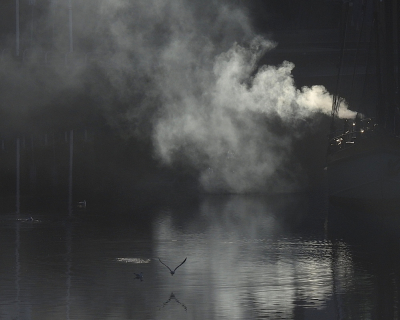 <i class='fa fa-user'></i> sieb |   Kokmeeuw  <i class='fa fa-eye'> 523</i>  <i class='fa fa-thumbs-up'> 22</i>   <i class='fa fa-comment-o'> 23</i>