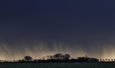 <i class='fa fa-user'></i> Fons Hoiting |   Wilde Zwaan  <i class='fa fa-eye'> 481</i>  <i class='fa fa-thumbs-up'> 21</i>   <i class='fa fa-comment-o'> 15</i>