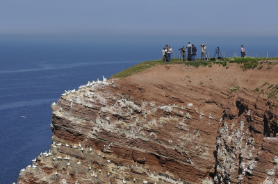 <i class='fa fa-user'></i> Gerard Visser |   Jan-van-gent  <i class='fa fa-eye'> 312</i>  <i class='fa fa-thumbs-up'> 5</i>   <i class='fa fa-comment-o'> 12</i>