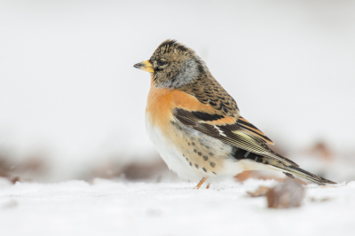 <i class='fa fa-user'></i> Rijn Bcude |   Keep  <i class='fa fa-eye'> 283</i>  <i class='fa fa-thumbs-up'> 9</i>   <i class='fa fa-comment-o'> 11</i>