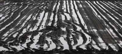 <i class='fa fa-user'></i> Fons Hoiting |   Grauwe Gans  <i class='fa fa-eye'> 367</i>  <i class='fa fa-thumbs-up'> 18</i>   <i class='fa fa-comment-o'> 13</i>