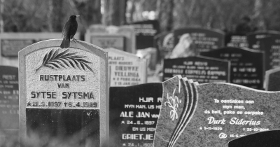 <i class='fa fa-user'></i> Fons Hoiting |   Merel  <i class='fa fa-eye'> 150</i>  <i class='fa fa-thumbs-up'> 2</i>   <i class='fa fa-comment-o'> 23</i>