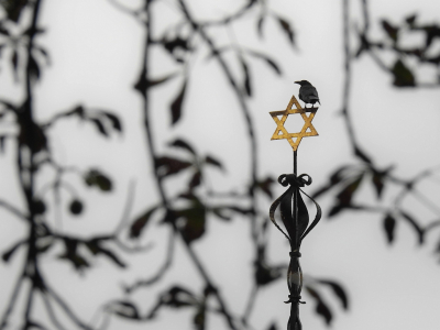 <i class='fa fa-user'></i> sieb |   Zwarte Kraai  <i class='fa fa-eye'> 312</i>  <i class='fa fa-thumbs-up'> 22</i>   <i class='fa fa-comment-o'> 16</i>