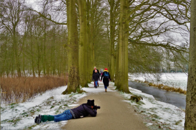 Wie weet wie deze, anders dan de andere wandelende mensen hier, vogel is? Door hem ging ik zoeken op zijn naam en kwam ik bij deze site. Het is grappig dat wanneer je de Haarlemse en Bloemendaalse kleuren kent en foto's ziet in de sfeer van dit gebied je ook bij zijn foto's terecht komt. Groet langs deze weg. Het is dus niet een Vink. Het zijn er drie! Ja, het zou nog scherper en duidelijker moeten, Maar een vogelaar zal het toch zien?